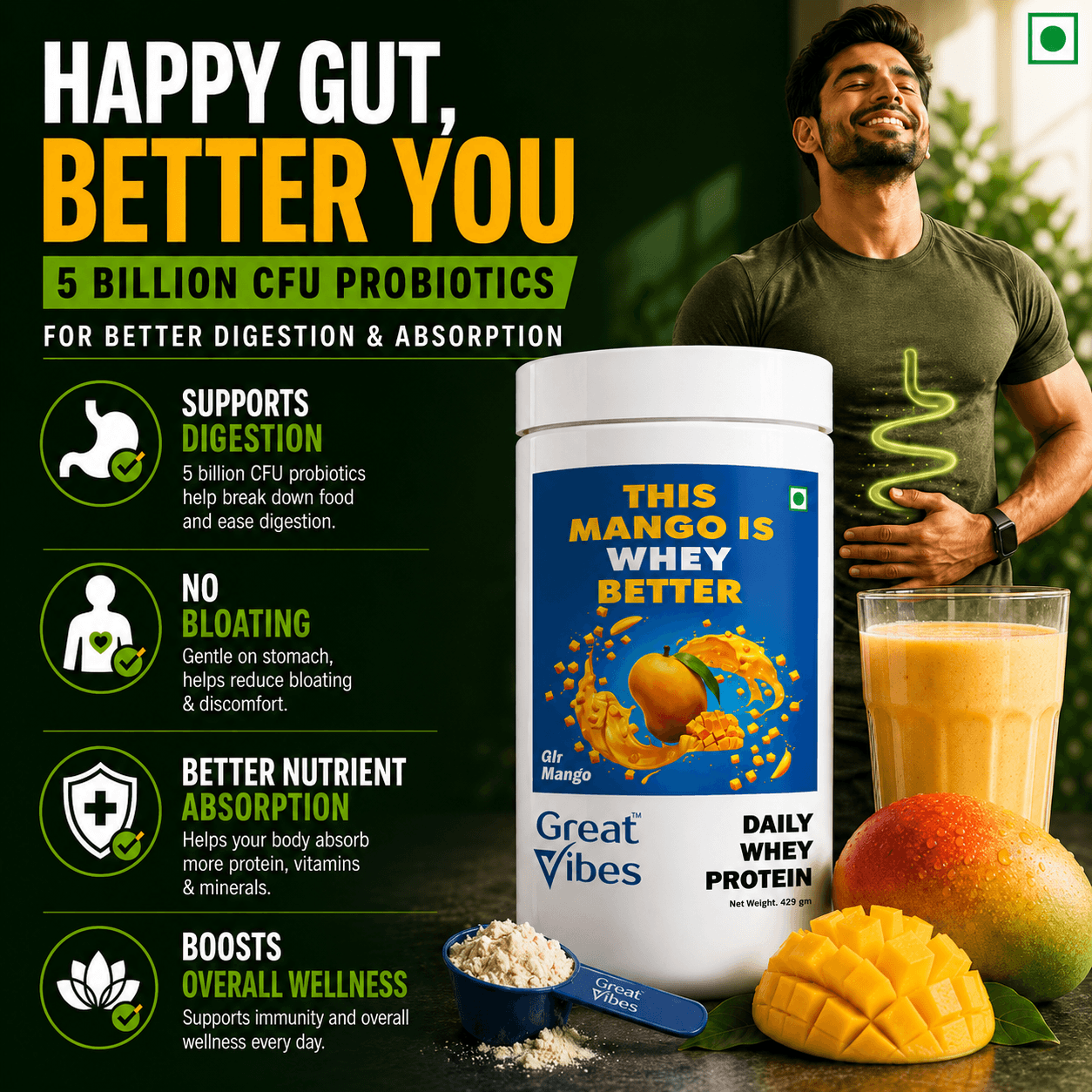 Great Vibes Daily Whey Protein infographic titled Happy Gut, Better You. Features a smiling man with a glowing stomach outline holding his abdomen alongside a container of Gir Mango whey protein. Highlights include: 5 Billion CFU Probiotics for better digestion and absorption, Supports Digestion, No Bloating (gentle on stomach), Better Nutrient Absorption, and Boosts Overall Wellness.